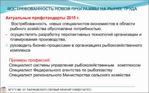 Профстандарт экономиста по планированию
