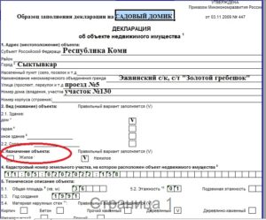 Декларация для оформления дома по дачной амнистии бланк
