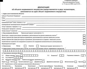 Декларация для оформления дома по дачной амнистии бланк