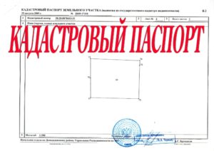 Кадастровый паспорт и межевание чем отличаются