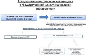 Как участвовать в торгах по продаже муниципальной собственности физическому лицу