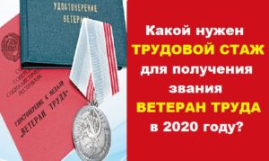 Как получить звание ветеран труда педагогу в 2020 году