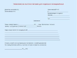 Пример заявления в школу об отказе от обедов