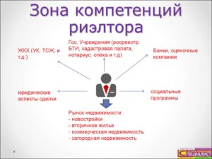 Что нужно знать риэлтору по недвижимости новичку
