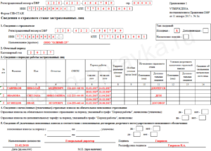 Сэв стаж отчет 2020 порядок