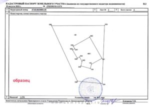 Кадастровый паспорт и межевание чем отличаются