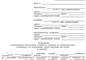 Как правильно представить возражение мировому судье