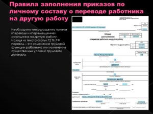Как разделить приказы о приеме срочников и основных