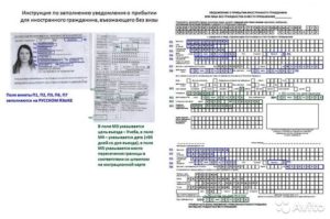 Как правильно заполнить уведомление о прибытии лица без гражданства