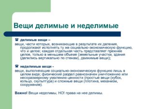 Делимые и неделимые вещи