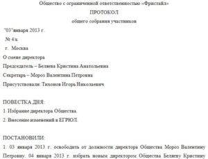 Протокол встречи официального лица пример