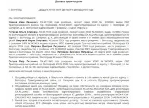 Договор купли продажи квартиры долей на детей образец