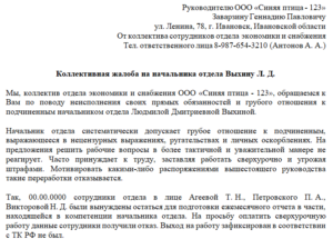 Пример жалобы на директора магазина