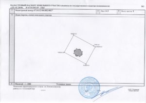 Кадастровый паспорт и межевание чем отличаются