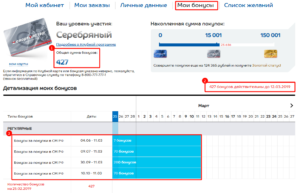Как проверить бонусы в спортмастере по номеру