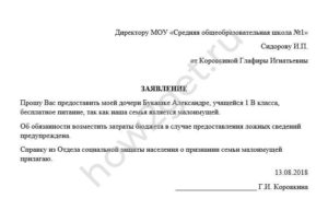 Пример заявления в школу об отказе от обедов