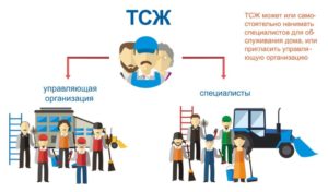 Председатель тсж зарплата вакансии