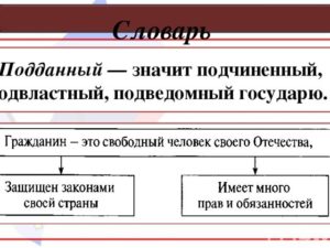 Что значит подданный