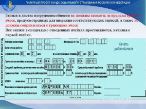 Больничный лист пилотный проект образец заполнения