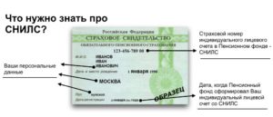 Фсс официальный сайт снилс