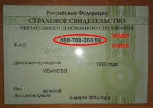 Как узнать когда выдан снилс