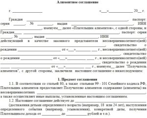 Понятие алиментных соглашений