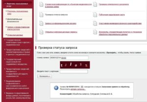 Проверка заявки в росреестре
