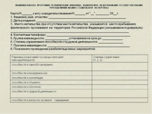 Как получить ипр инвалиду