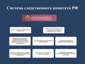 Кому подчиняется следственный комитет города