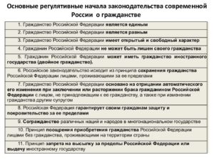 Как пишется гражданин российской федерации