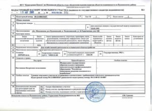 Кадастровый паспорт и межевание чем отличаются