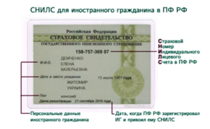 Фсс официальный сайт снилс