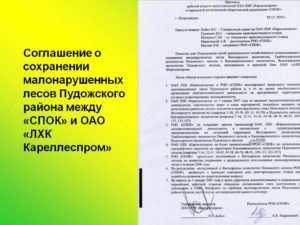 Протокол встречи официального лица пример