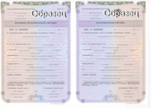 Какие документы нужны для продажи мяса кур