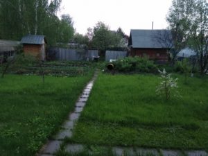 Как получить земельный участок бесплатно в тюмени