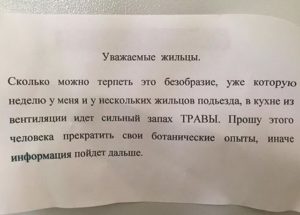 Если у соседей кошки и воняют кого вызывать