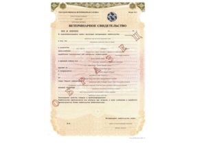 Какие документы нужны для продажи мяса кур