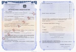 Какие документы нужны для продажи мяса кур