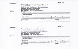 Бланк на оплату госпошлины паспорт рф в 14 лет