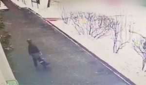 Проверка роспотребнадзора в московских садах