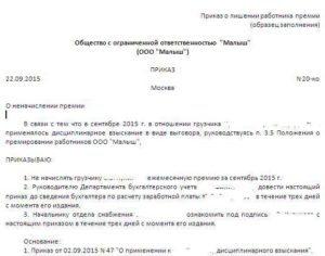 Приказ на премию за фактически отработанное время образец