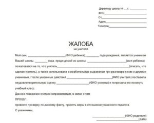 Пример жалобы на директора магазина