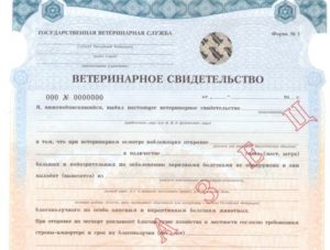 Какие документы нужны для продажи мяса кур