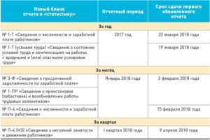 Какие отчеты сдавать при создании организации